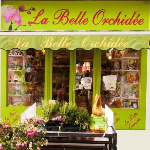 La Belle Orchidée