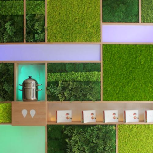 Vitaliseur de Marion