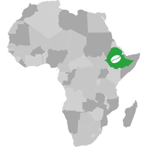Latu Gudina Ethiopie – 100% arabica – Capsules 3